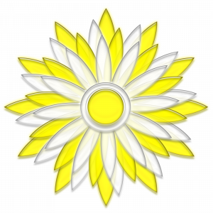 Flower Clip Art 2000 x 2000 PNG Format