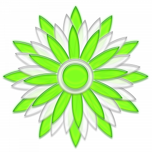 Flower Clip Art 2000 x 2000 PNG Format